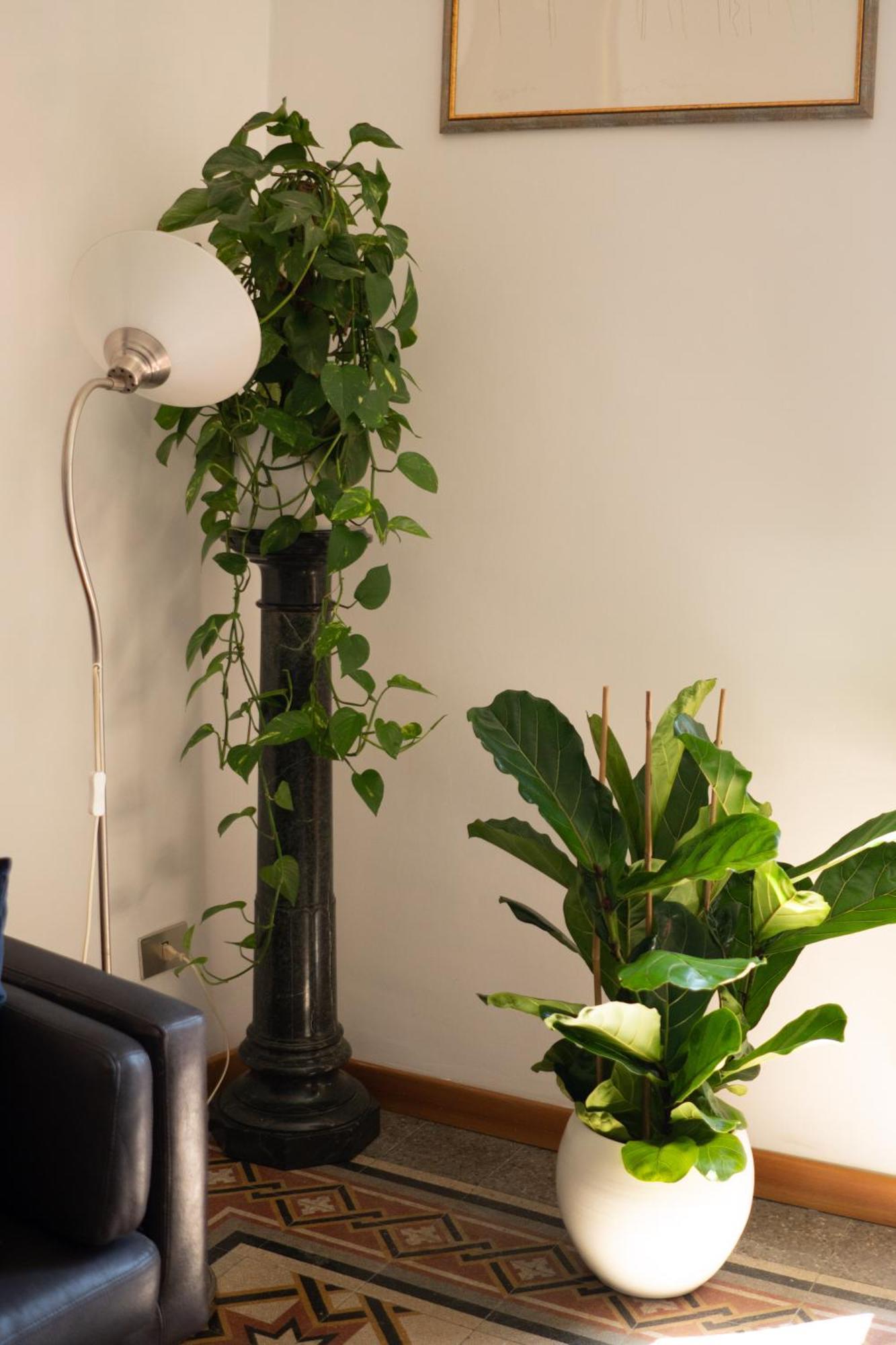 Apartment Oasi Artistica A Trastevere